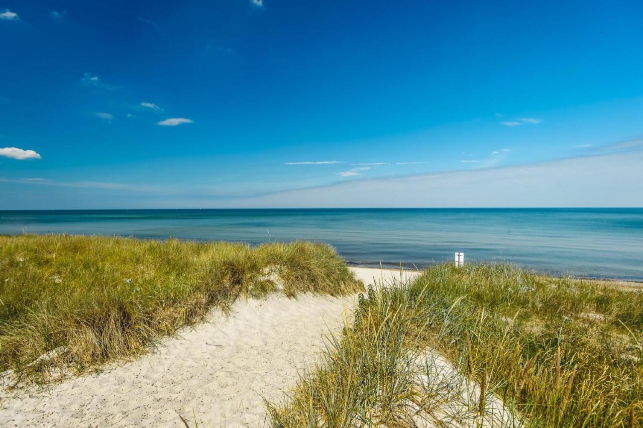 Lachmoewe * Rostock
