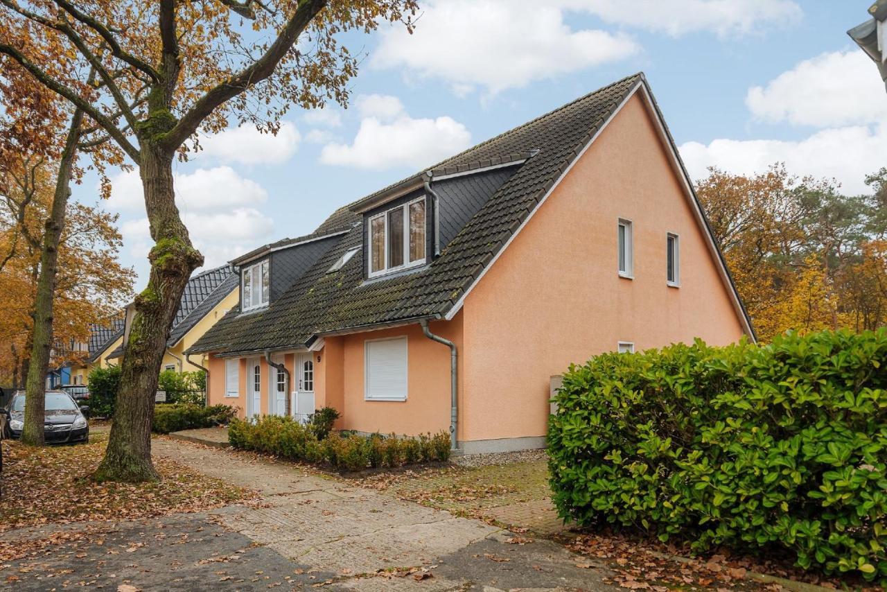 Lachmoewe